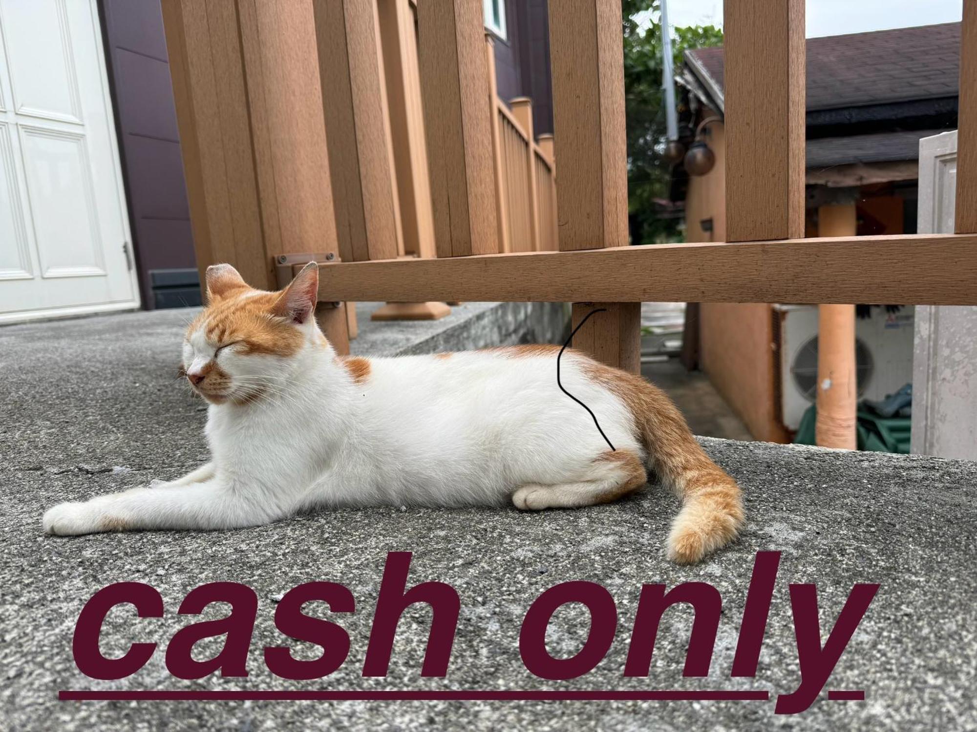 貓居 Ocean House Apartment Dahan Exterior foto